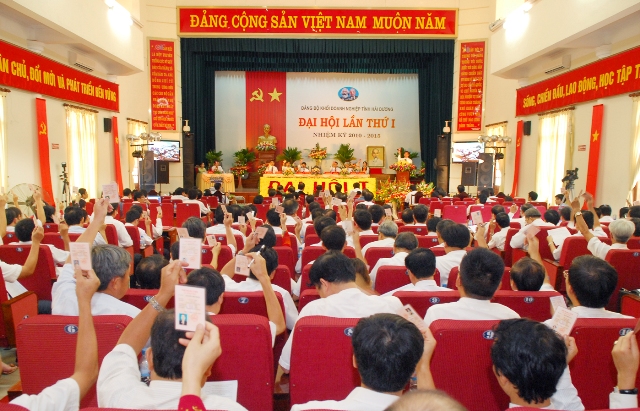 Đảng bộ Khối Doanh nghiệp tỉnh Học tập Nghị quyết Đại hội XI của Đảng